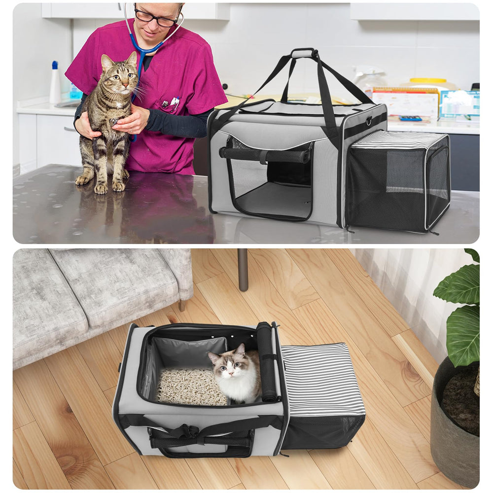 A.FATI extra-large carrier with cushioned interior offers roomy comfort for cats.