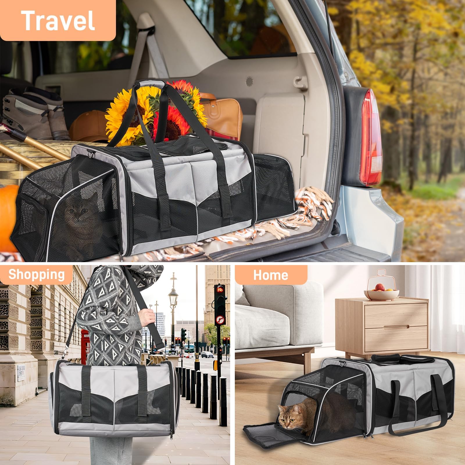 A.FATI carrier with removable divider for solo or two-pet configuration.
