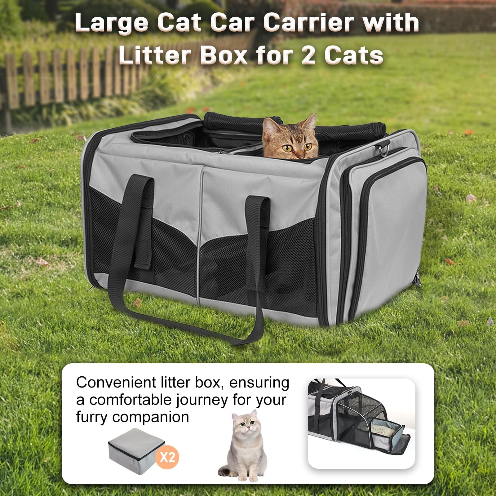 A.FATI safety rope keeps cats secure during transport.
