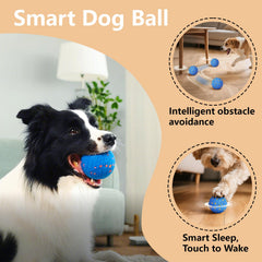 Affiuya duraspin-design dog ball blue emphasizes tough chew resistance during rough play.