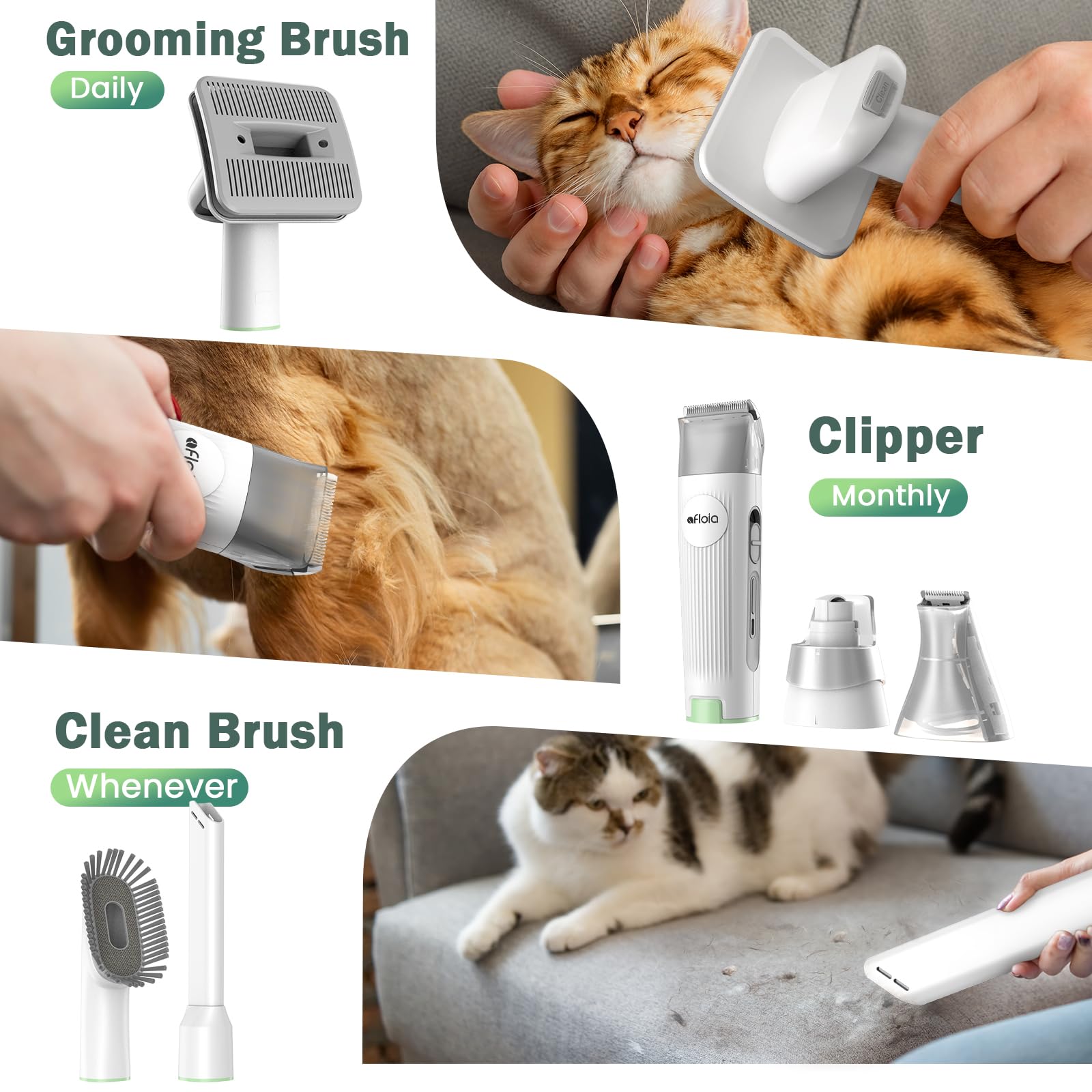 Afloia storage bag with accessories shows organized grooming setup.