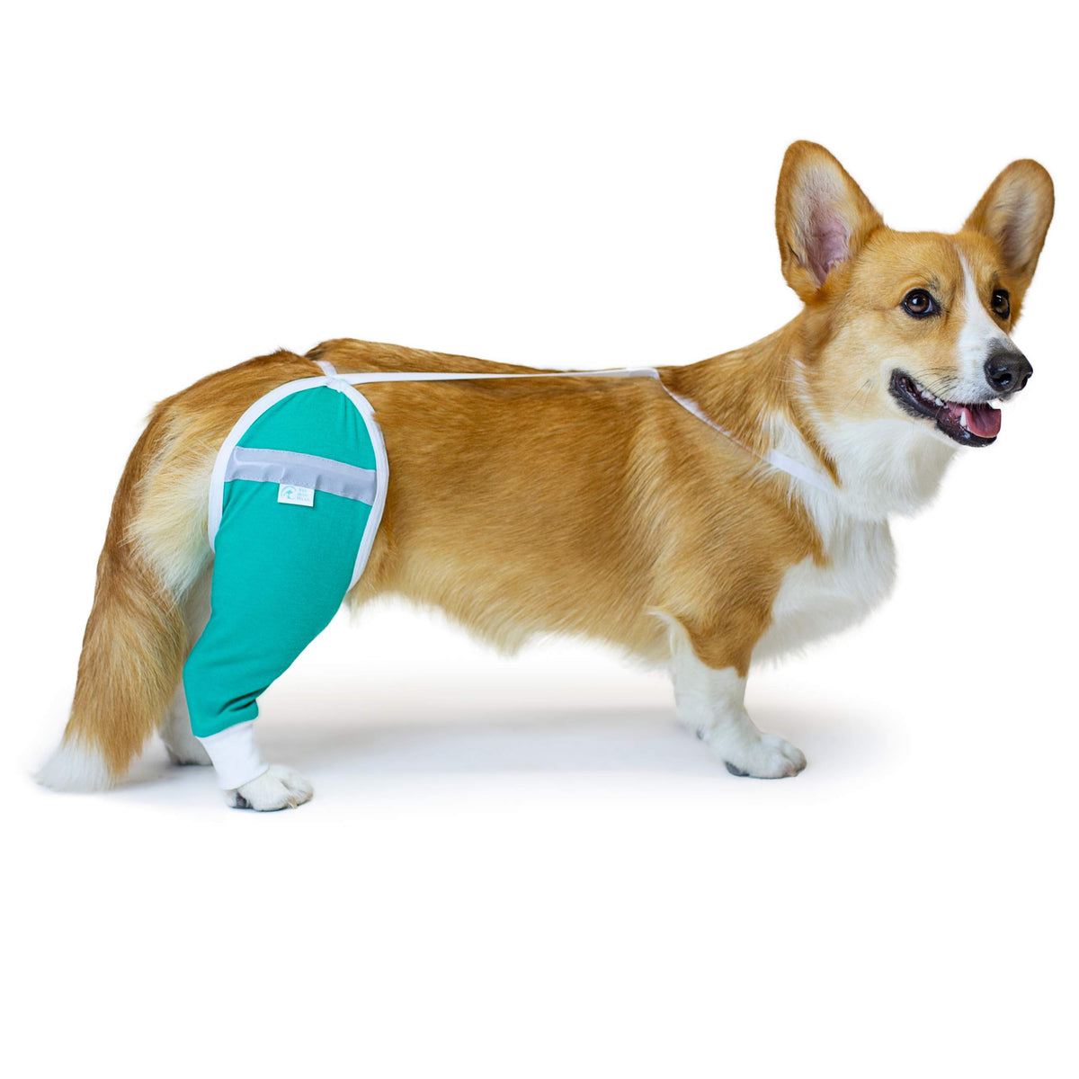 After Surgery Wear dog recovery sleeve teal front view, promotes breathable comfort