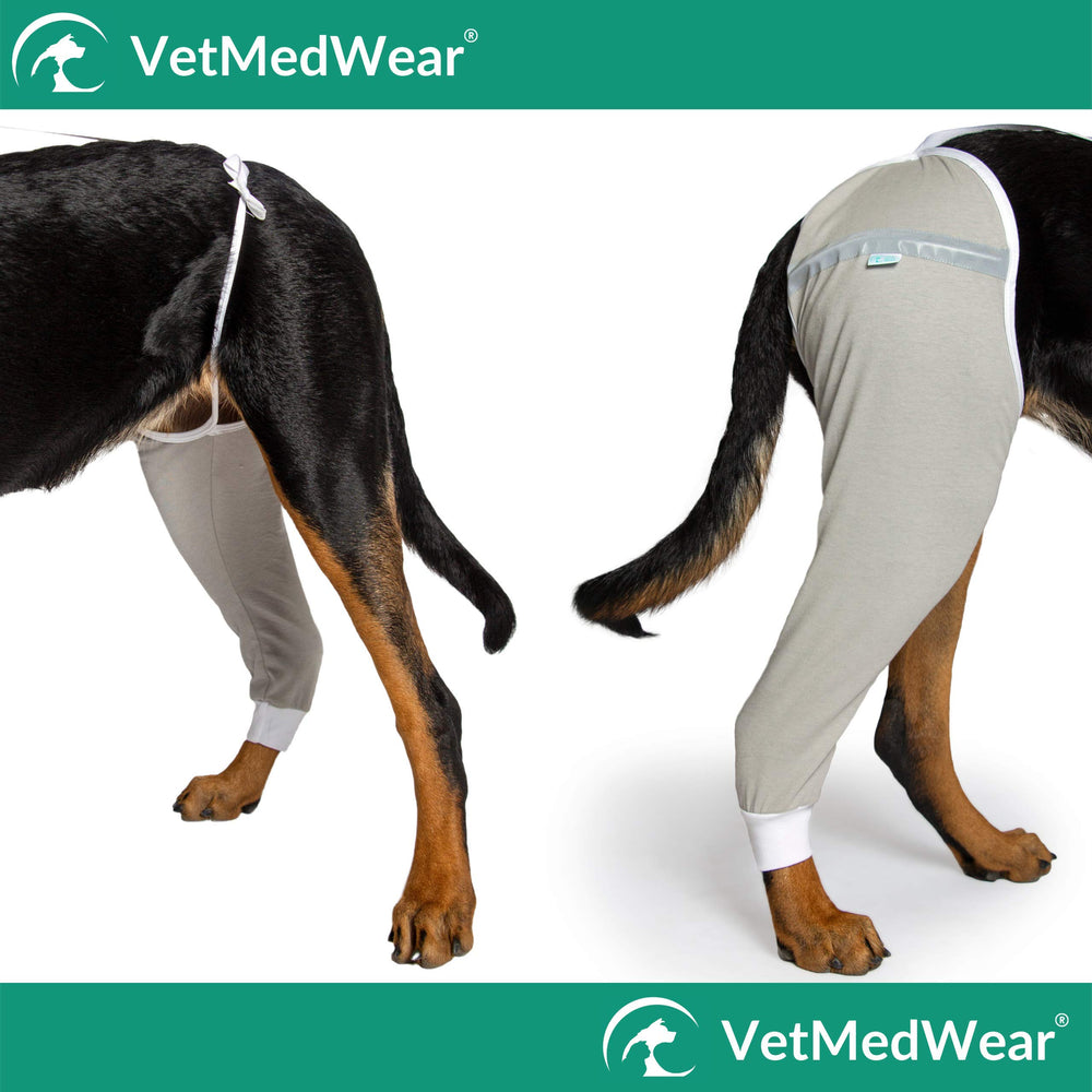 After Surgery Wear x-small short sleeve teal dog sleeve, suitable for small breeds