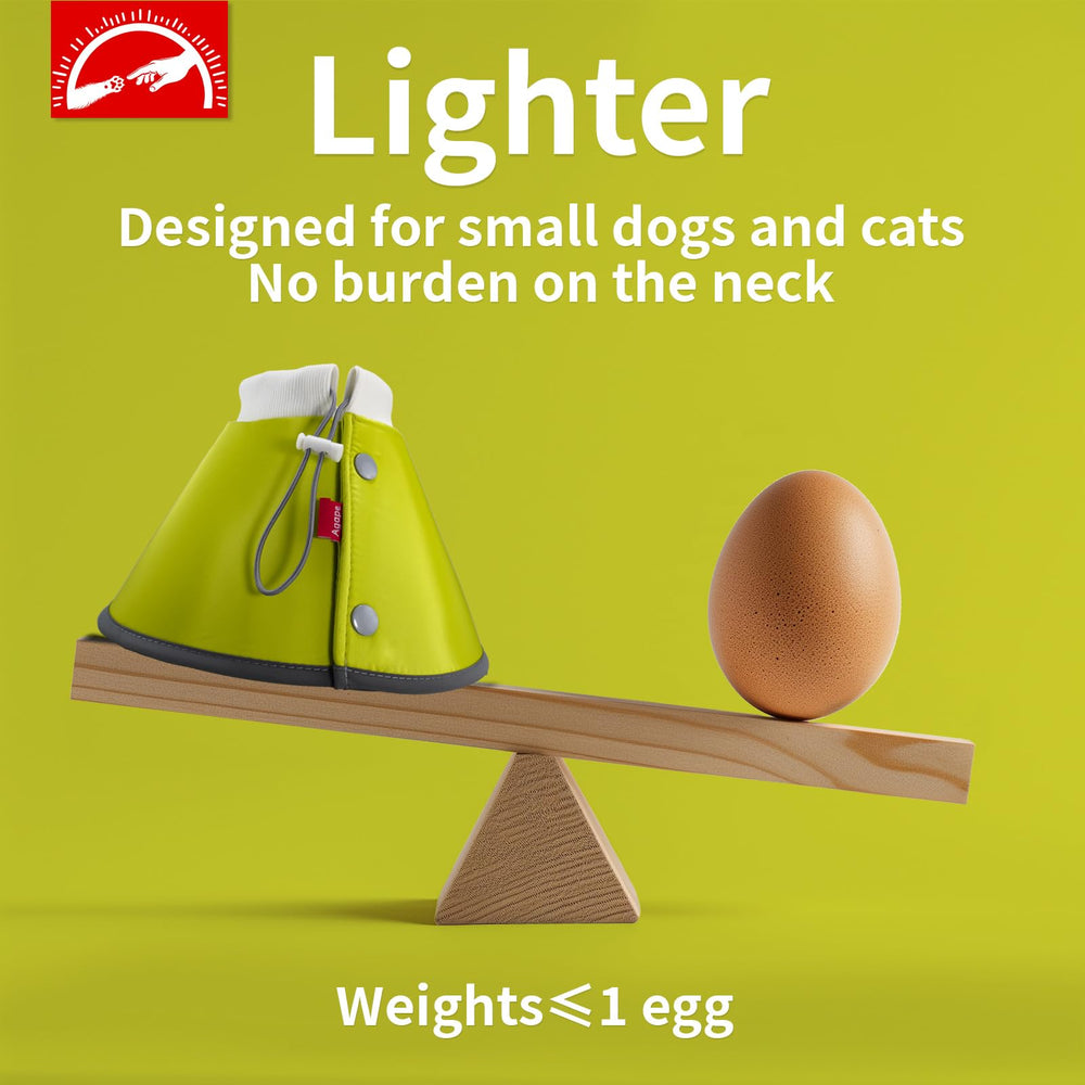 Agape cone depth provides better protection for paws and hindquarters