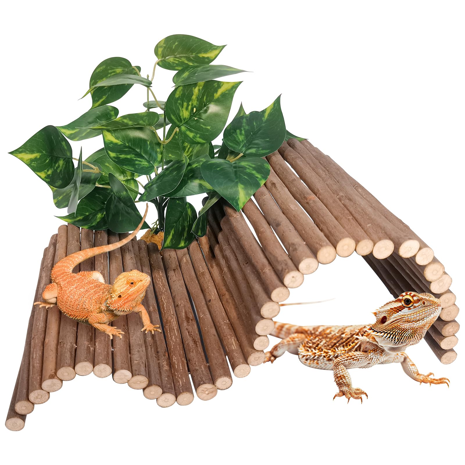 AGGQQA Reptile Hide Bridge setup provides versatile shapes for enrichment and climbing.