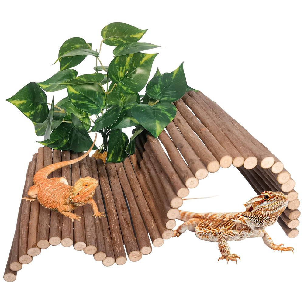 AGGQQA Reptile Hide Bridge setup provides versatile shapes for enrichment and climbing.