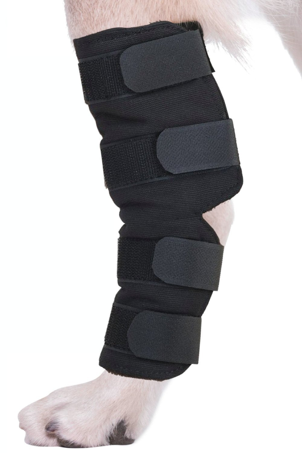 AGON dog hock brace features durable stitching for long-term use