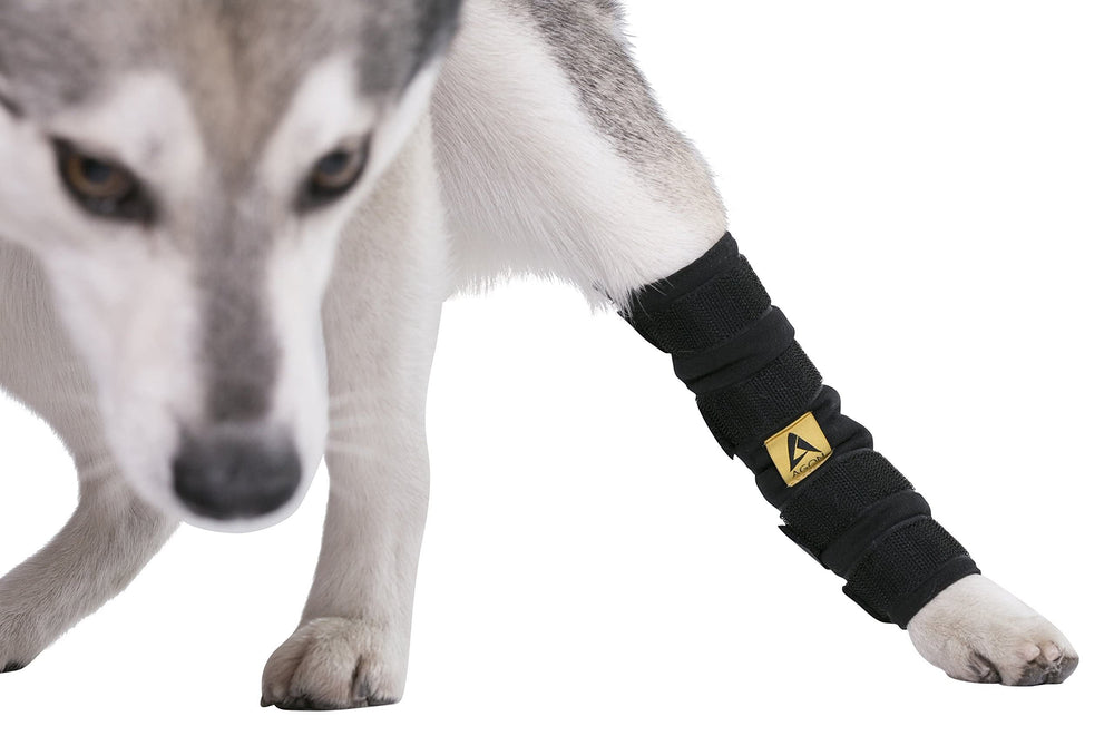 AGON dog hock brace lightweight flexible design preserves mobility