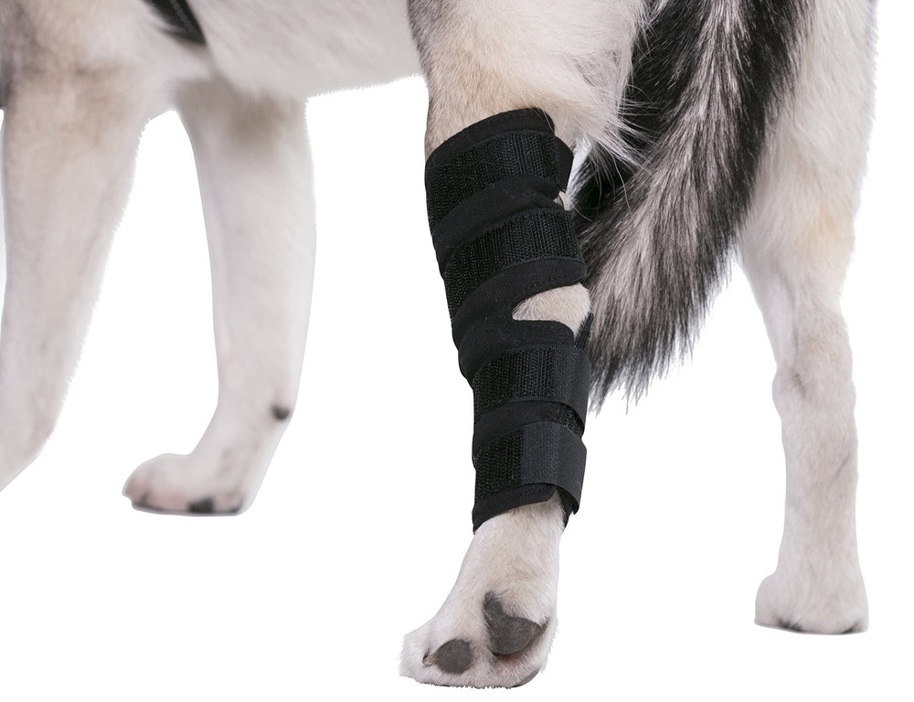 AGON dog hock brace soft neoprene 5mm for durable everyday wear