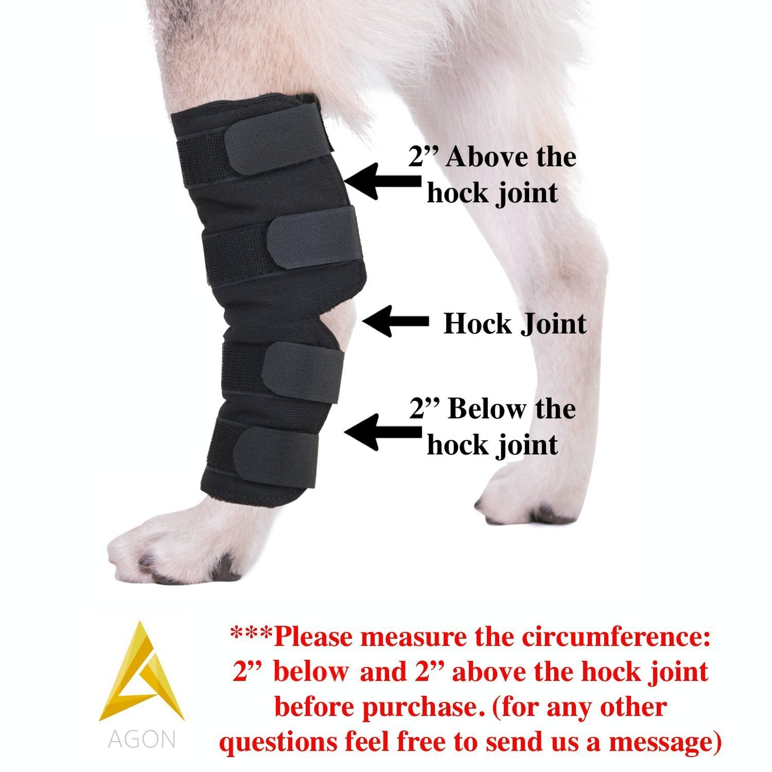 AGON dog hock brace wrapped around hock protecting wounds during recovery