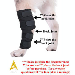 AGON dog hock brace wrapped around hock protecting wounds during recovery
