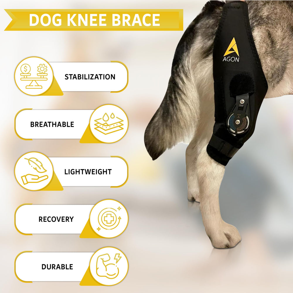 AGON Dog Knee Brace left leg XL premium neoprene delivers durable, flexible support