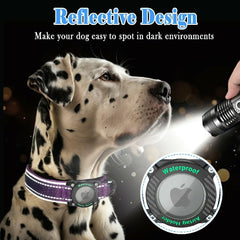 Soft padded nylon interior of AgoumLux collar for comfortable wear