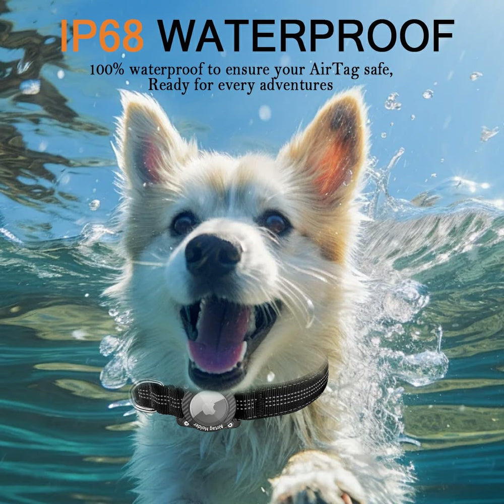 AgoumLux dog-collar with reflective strips enhances nighttime visibility for safer walks.