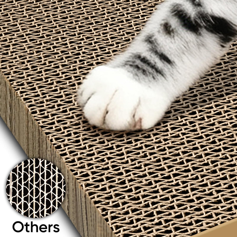 AGYM kitten-playtime, curious cats enjoy the cardboard texture during use.