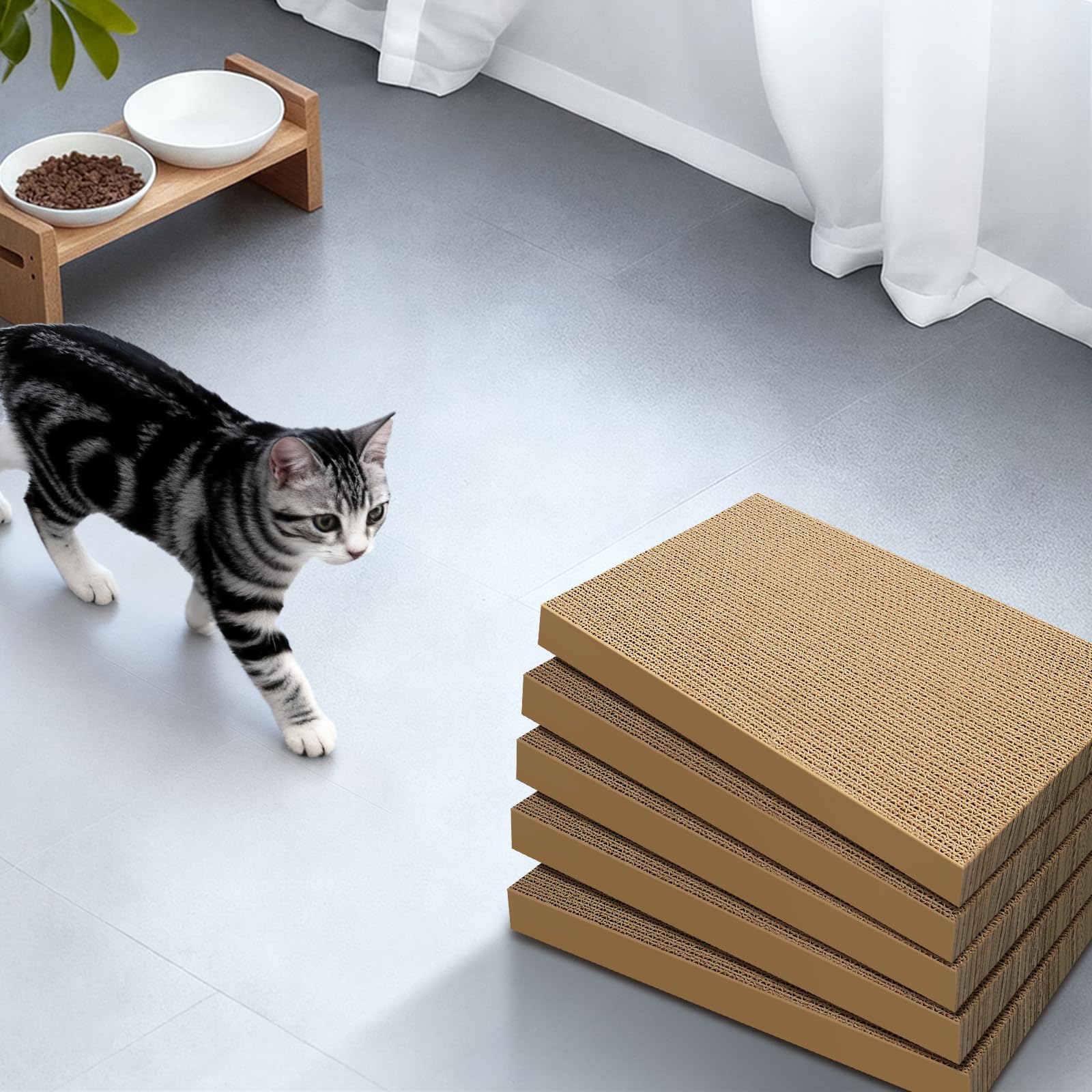 AGYM packaging materials, recyclable cardboard design.