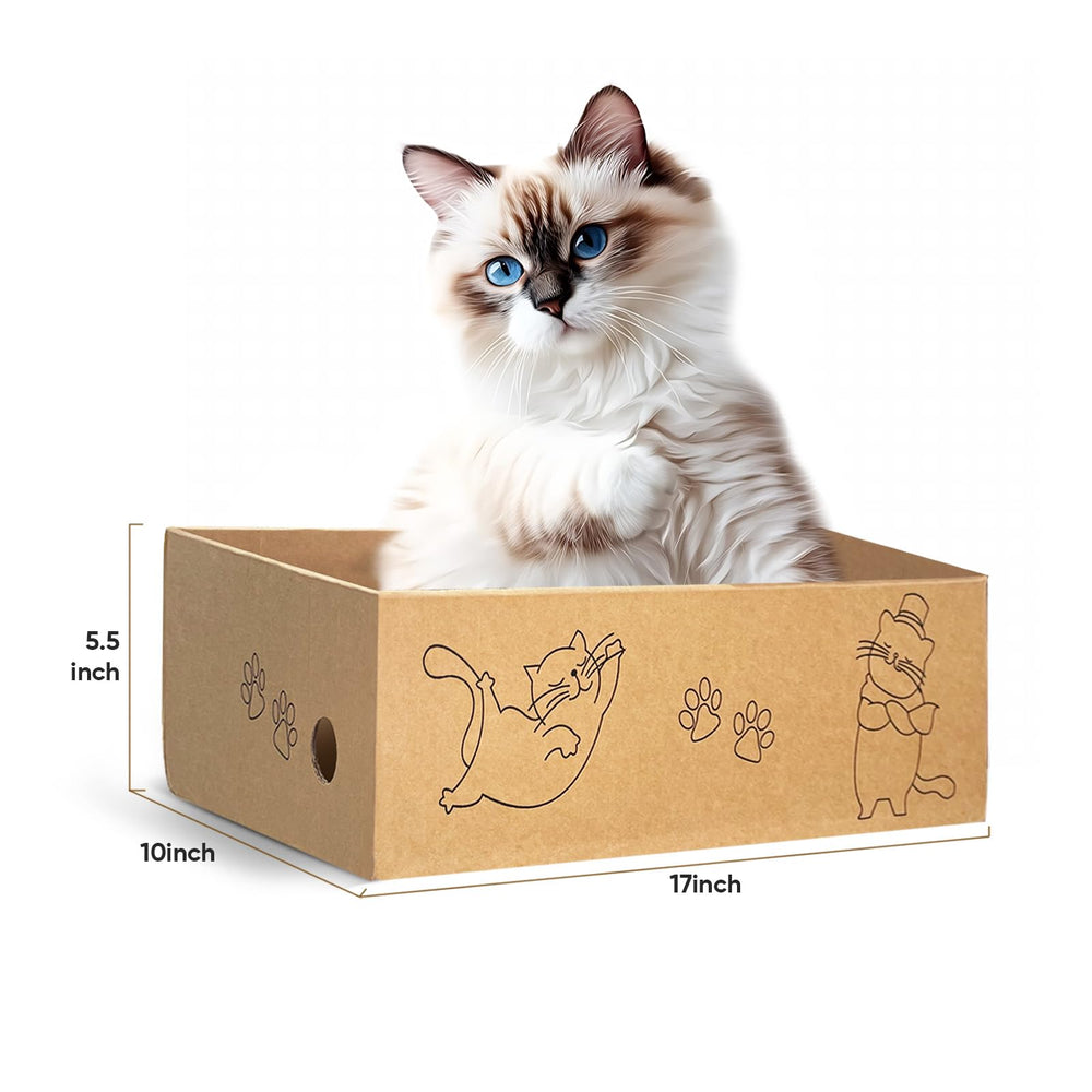 AGYM Cat Scratcher cardboard detail showing durable high-density surface