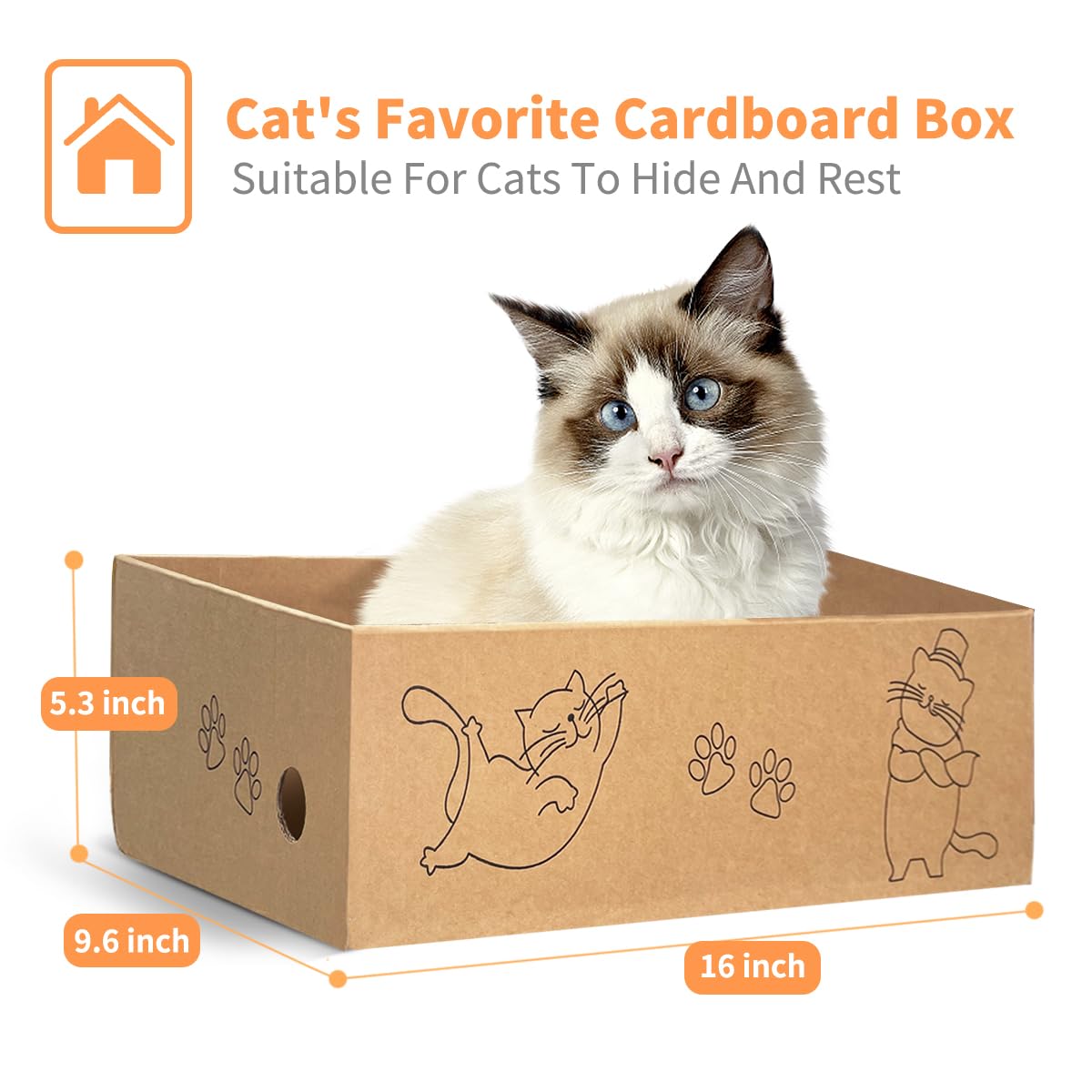 AGYM Cat Scratcher two-sides image demonstrates extended use on both sides