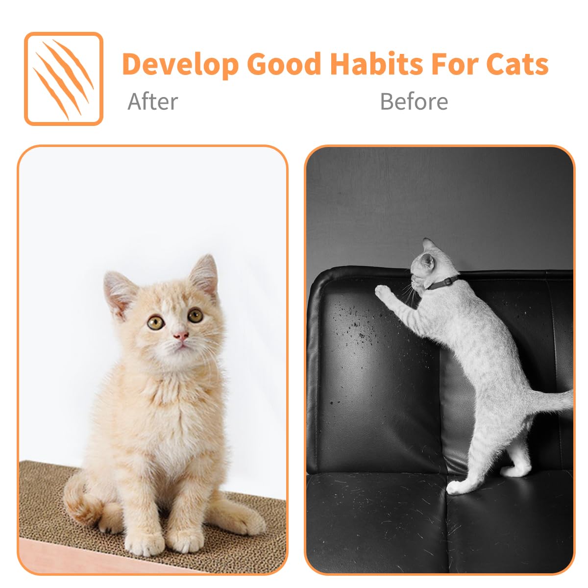 AGYM Cat Scratcher odorless non-toxic design ensures safe, ready-to-use scratching