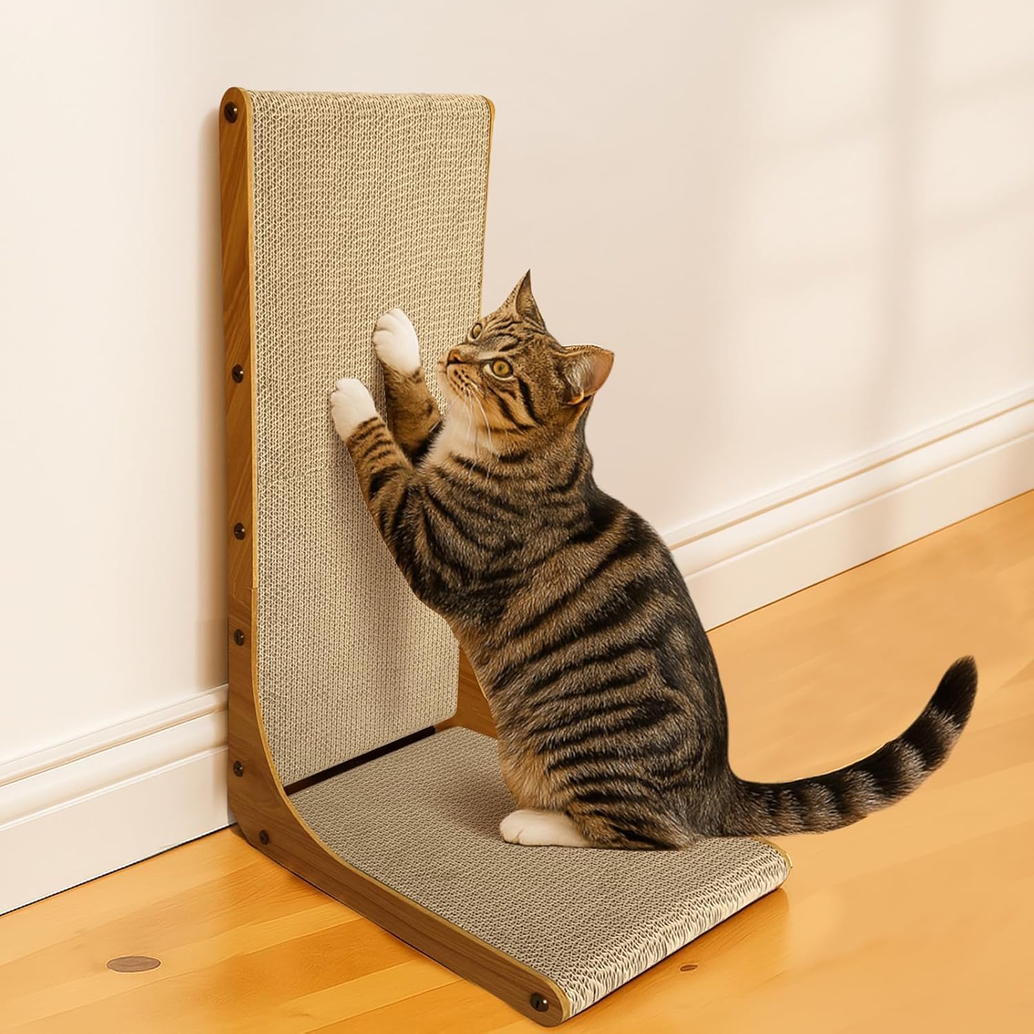AGYM Cat Scratcher protects furniture during active scratching sessions.