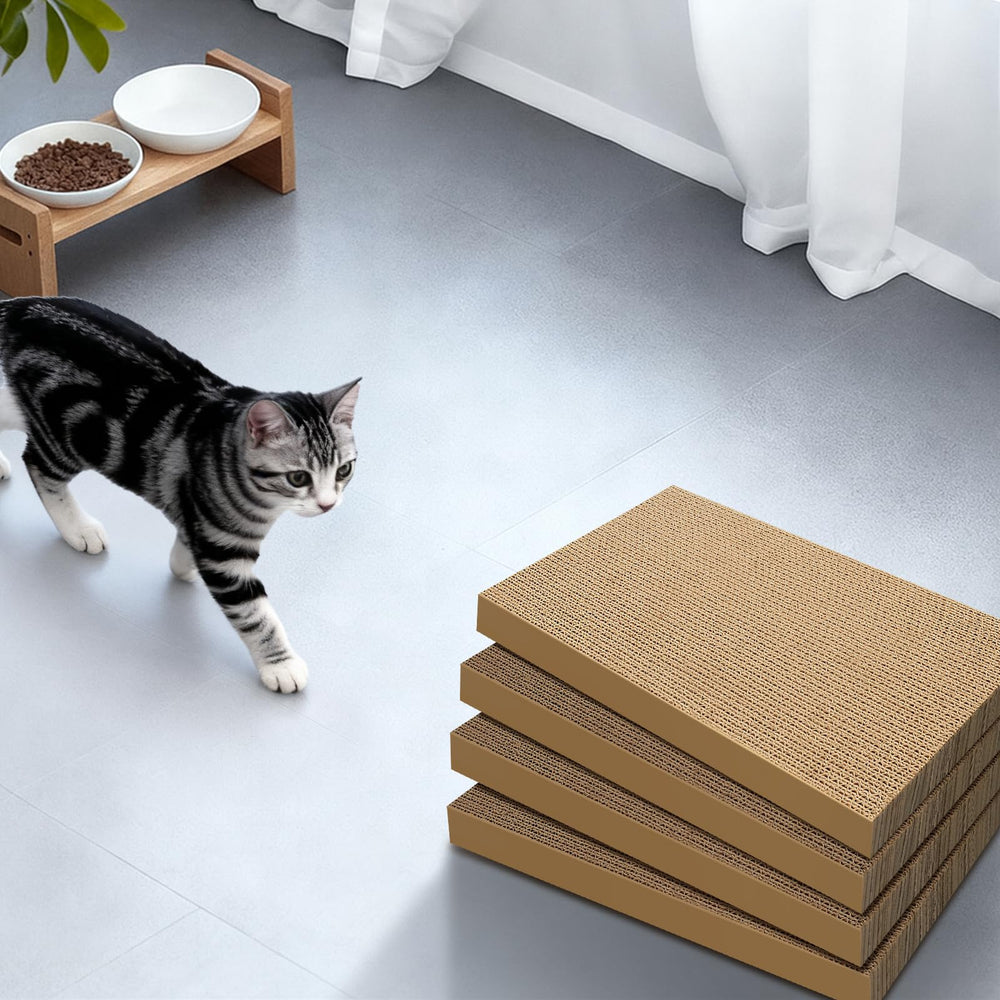 AGYM multi-angle scratching spots help cats scratch from different sides.