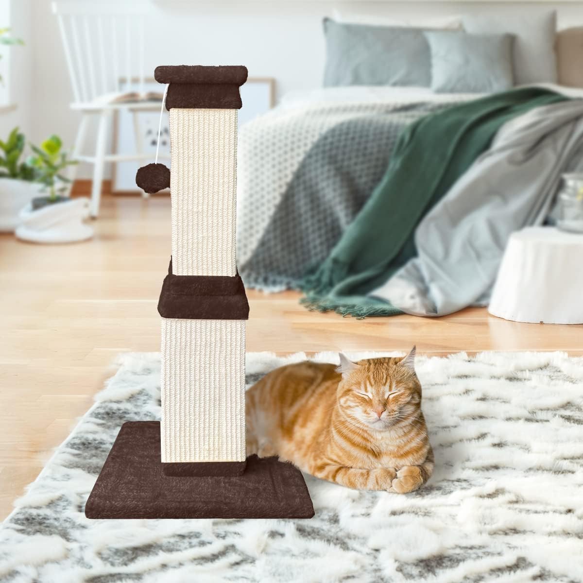 AGYM post suitable for kittens and adult cats for healthy exercise