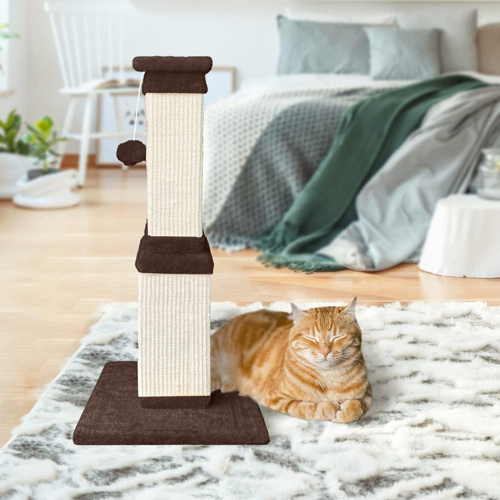 AGYM post suitable for kittens and adult cats for healthy exercise