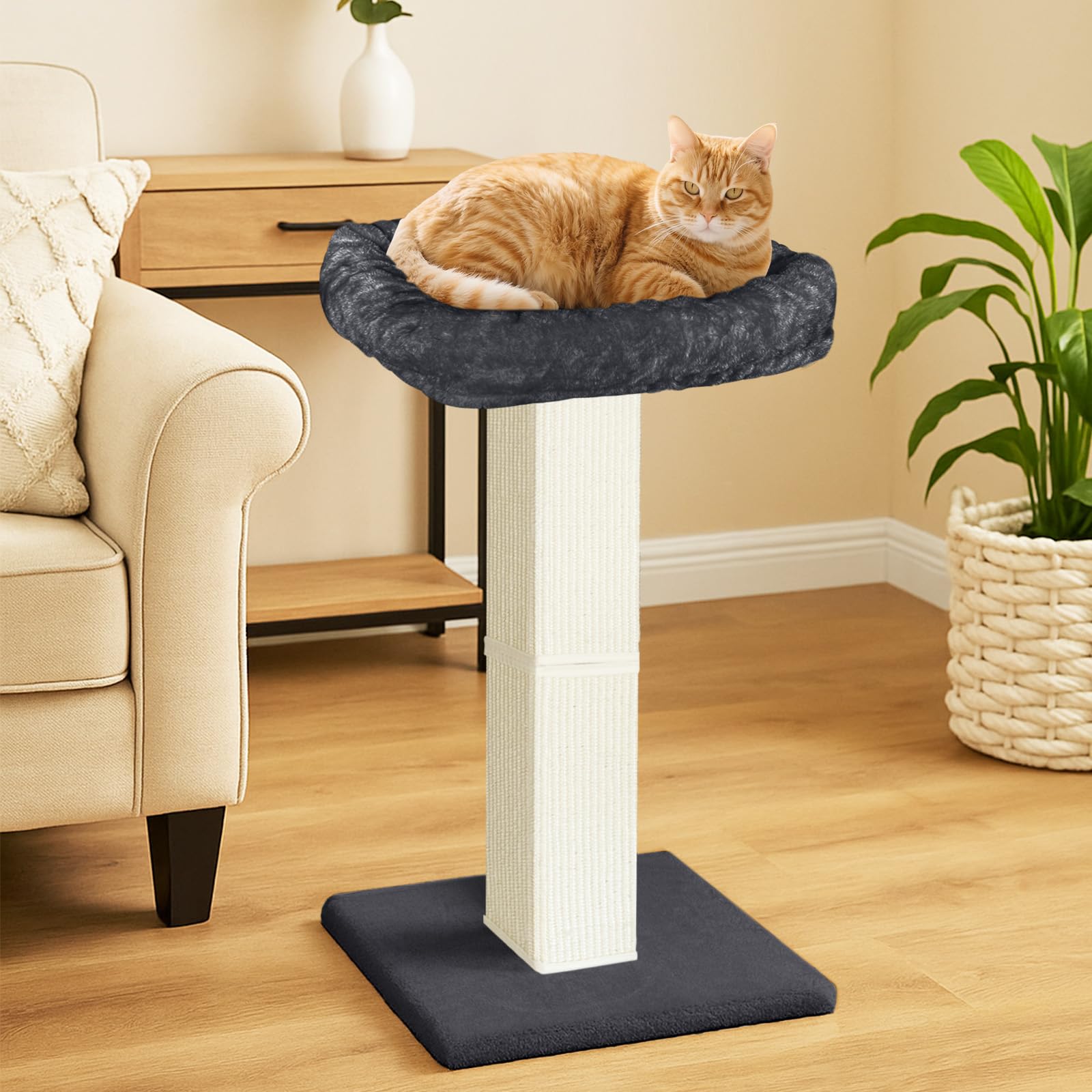AGYM Cat Scratching Post sisal rope panel showcases durable rope for satisfying scratch sessions.
