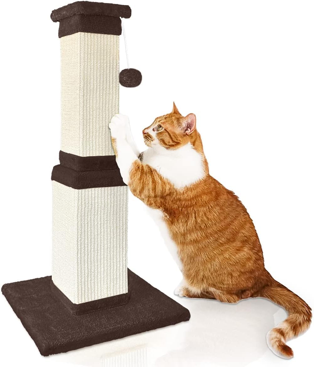 AGYM Cat Scratching Post tower 32 inches supports healthy scratching and exercise