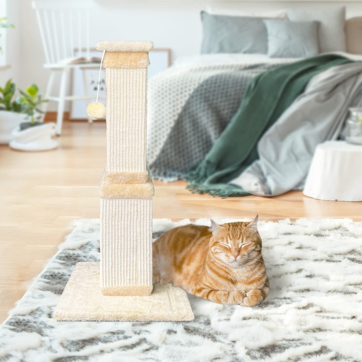 AGYM 32-inch post showing full-body stretch for large cats