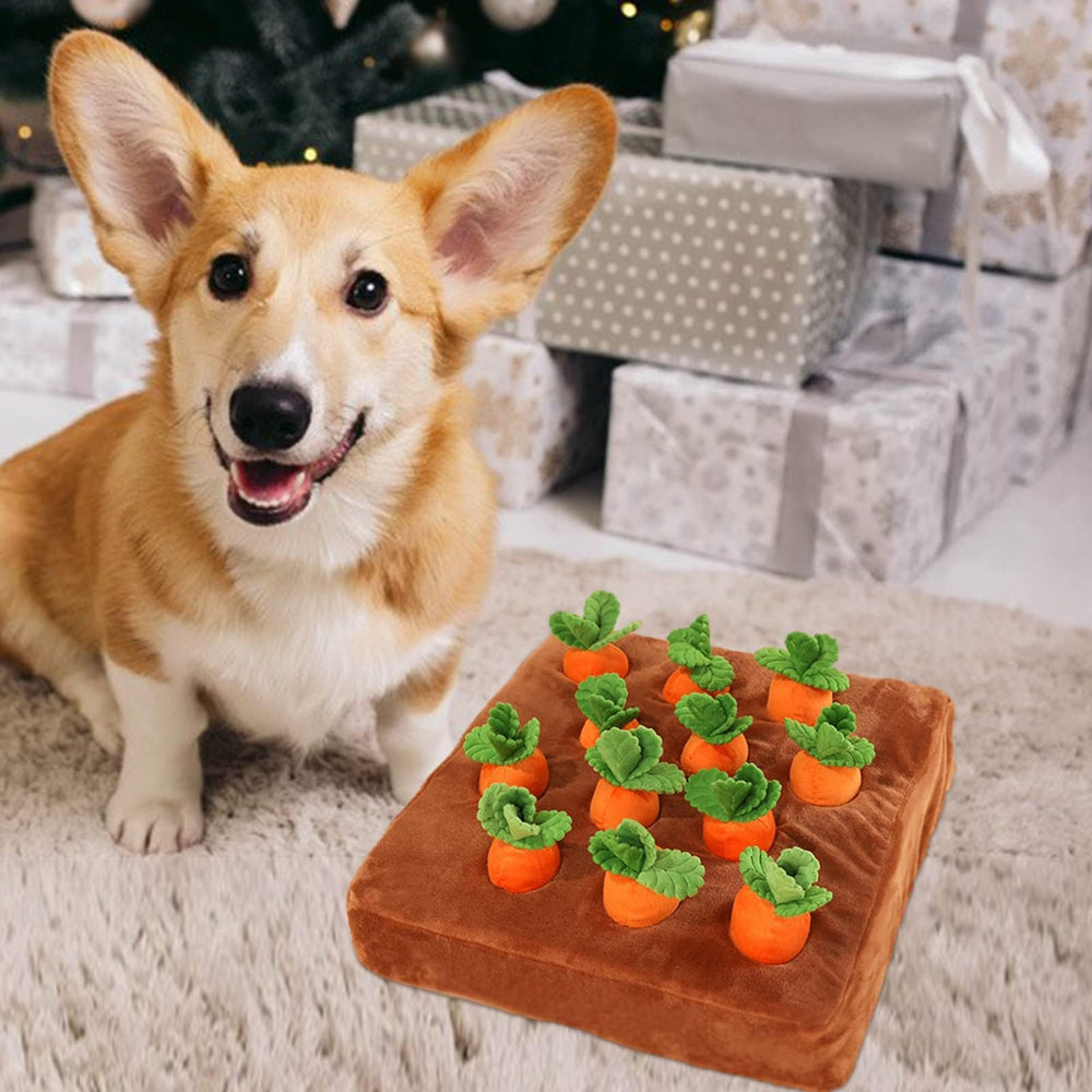 AGYTBG Carrot Snuffle Mat durable materials highlight sponge and crystal plush.