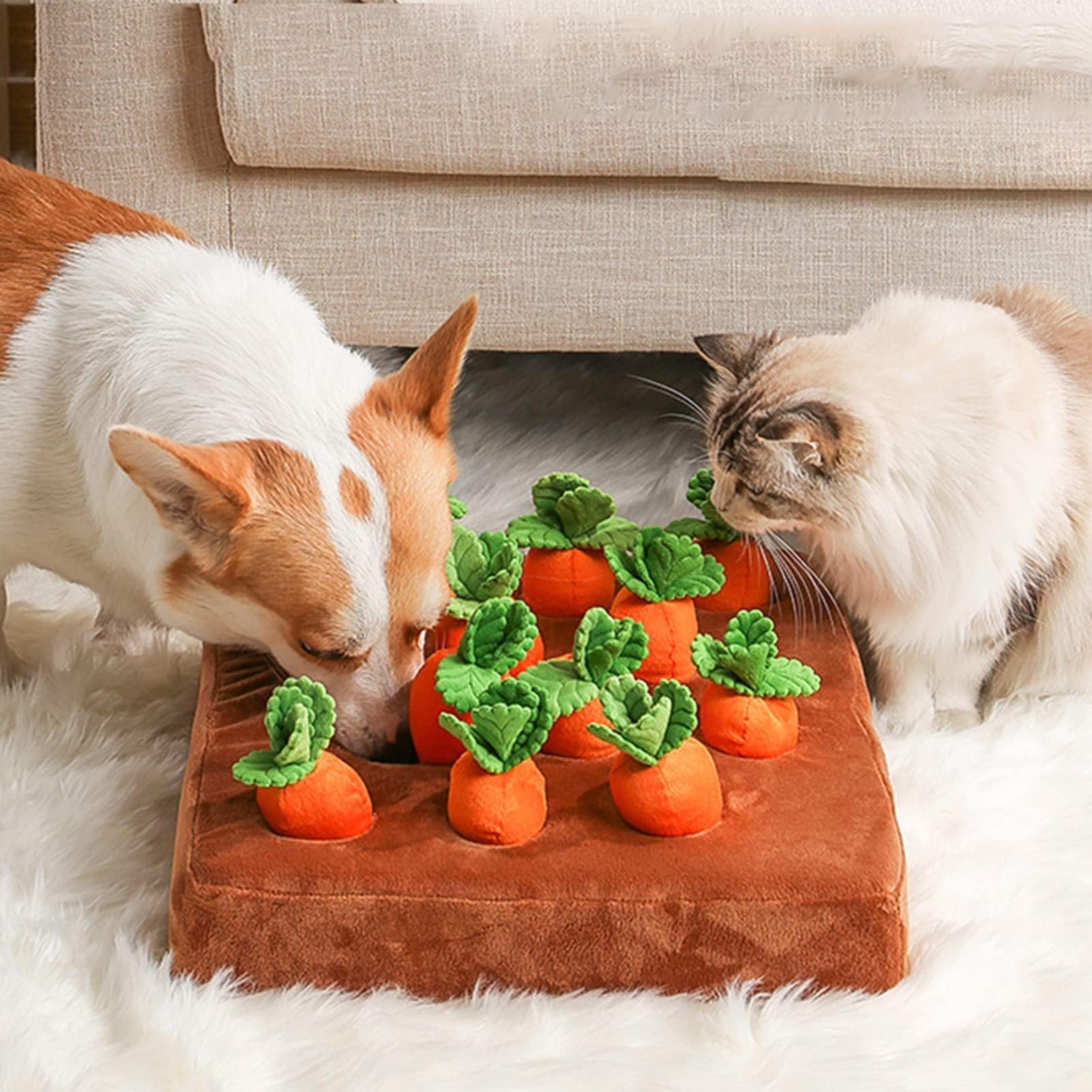 AGYTBG Carrot Snuffle Mat indoor play for dogs when outdoors isn't possible.