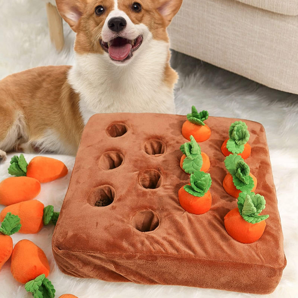 AGYTBG Carrot Snuffle Mat size variations accommodate different dog breeds.