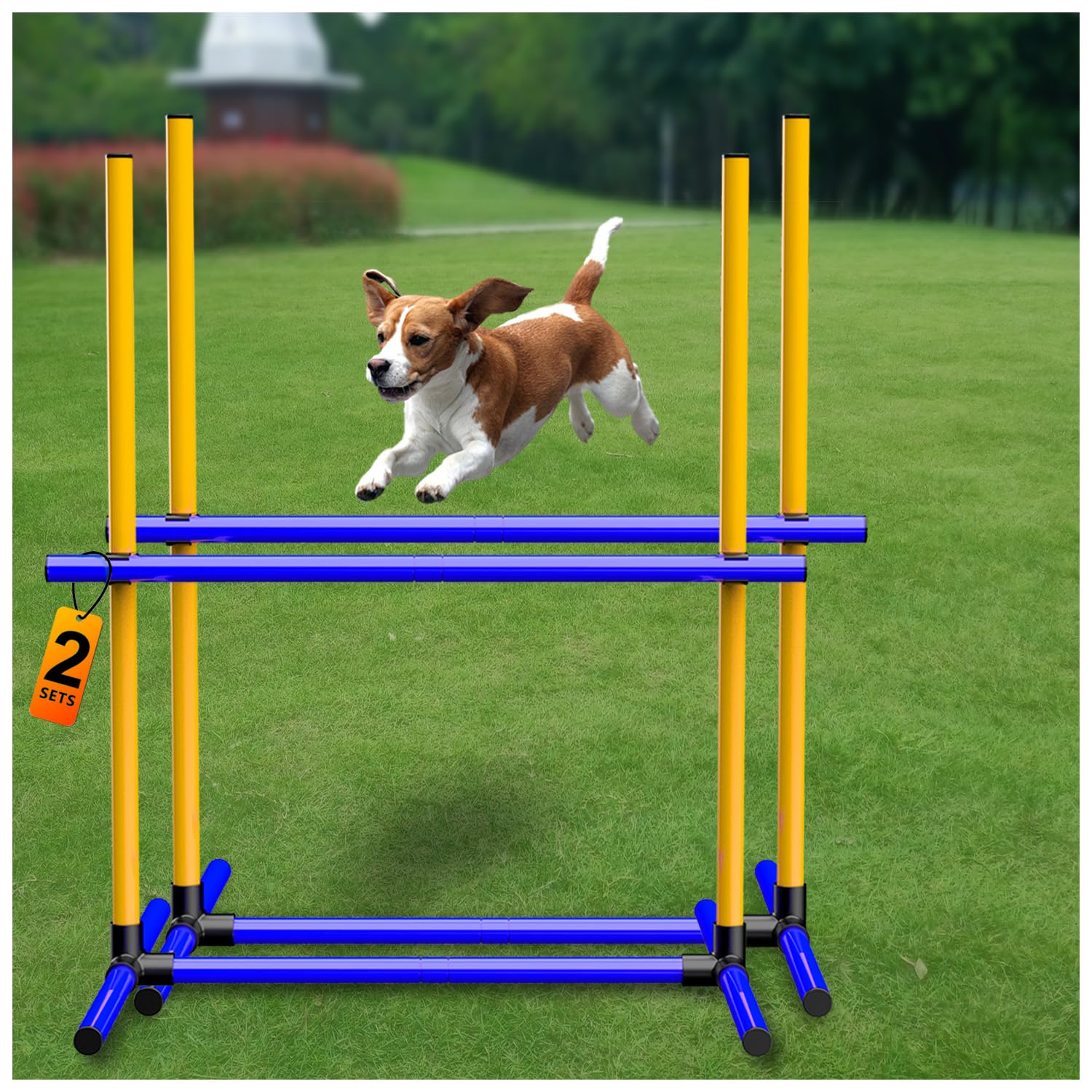 AHAILUOO adjustable jump-set shown in-pack for easy home training.