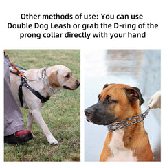 Aheasoun prong collar medium D-ring attachment ensures a secure leash connection.