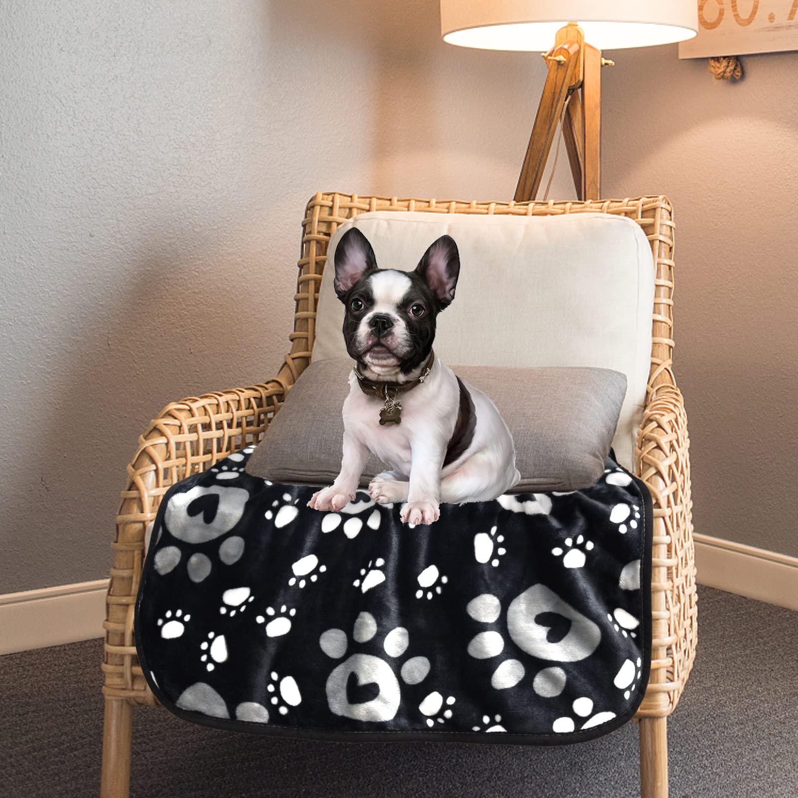 AHOOCUSTOM dog blanket 40x30in size ideal for small dogs.