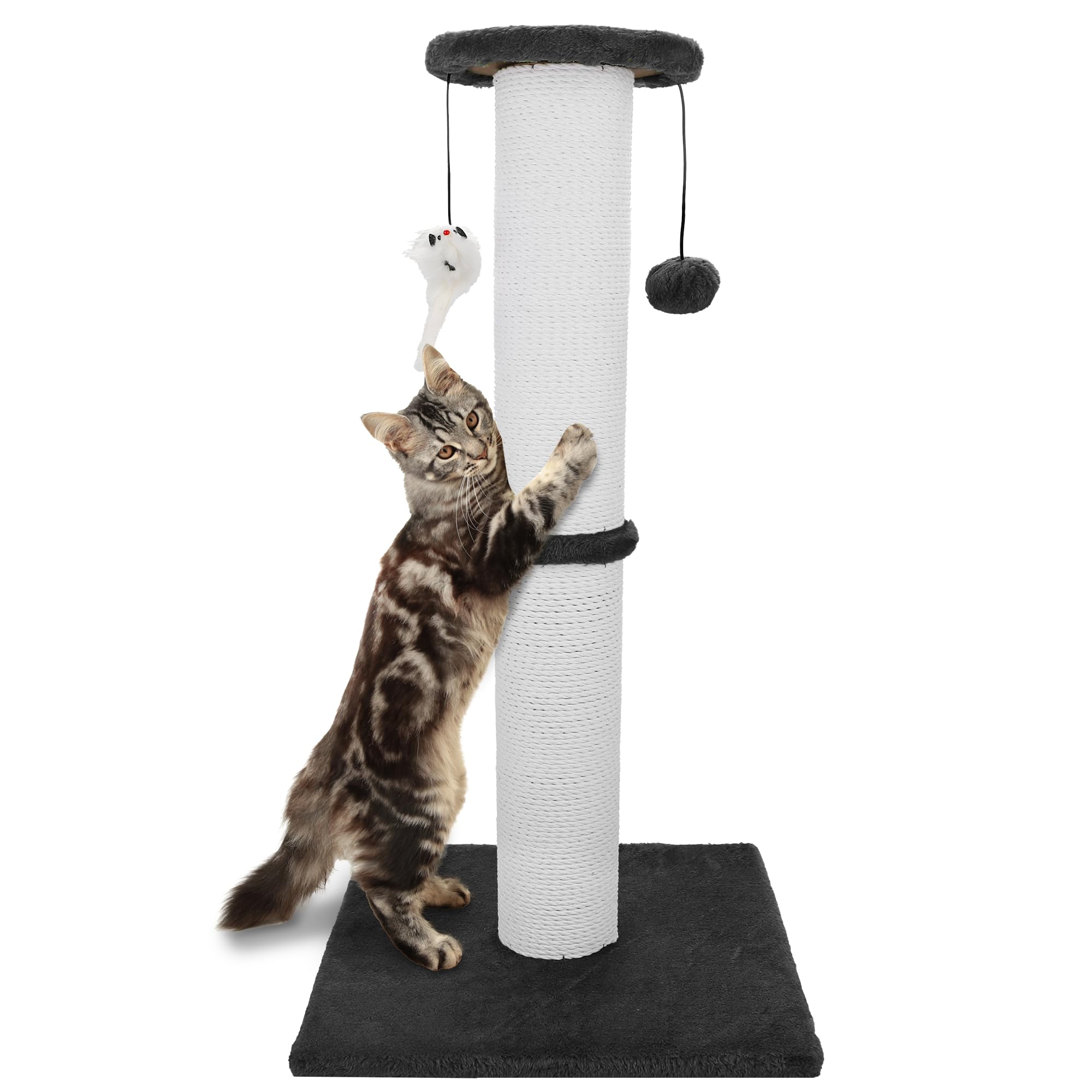 Ahomdoo cat scratching post 34in heavy-duty delivers tall vertical surface for full-body stretches.