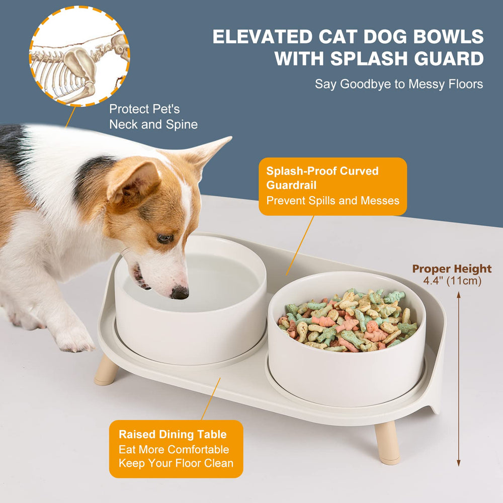 AHX two-bowl setup for food and water helps keep meals organized.