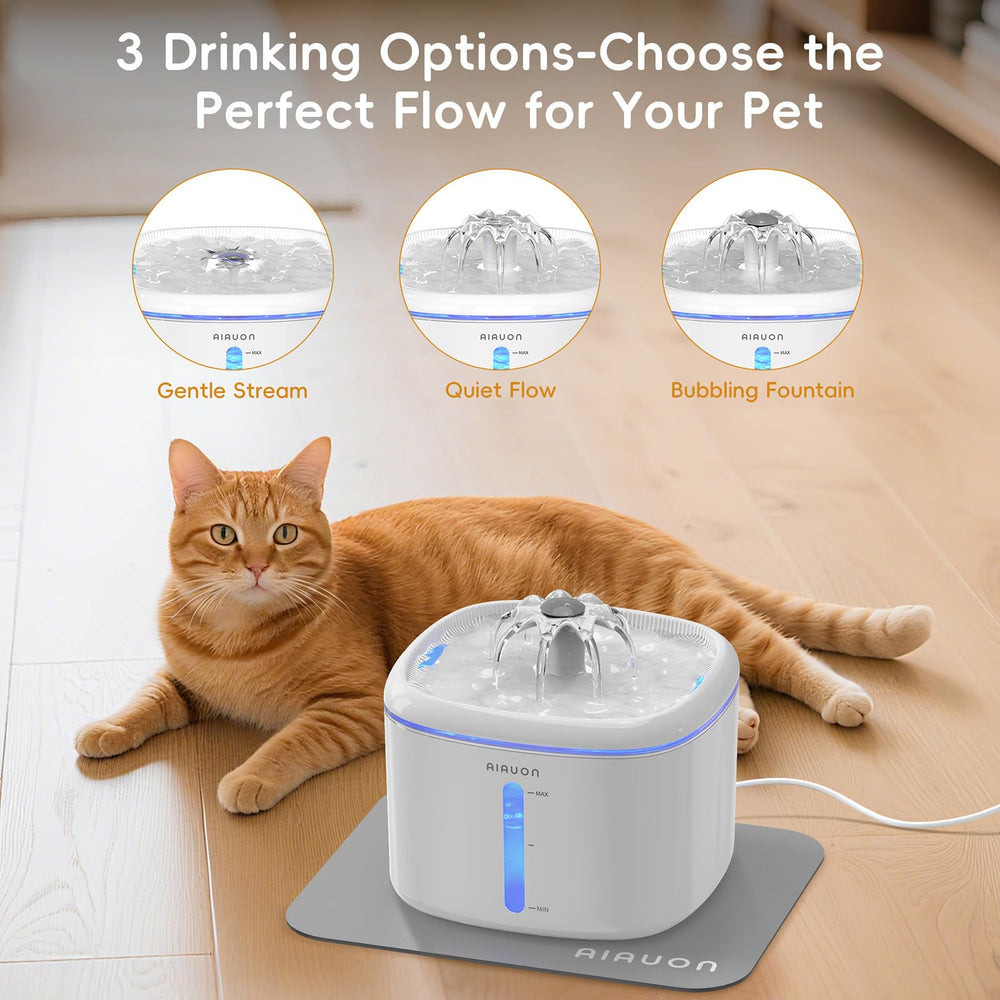 AIAUON 2.5l-capacity provides long, uninterrupted water supply