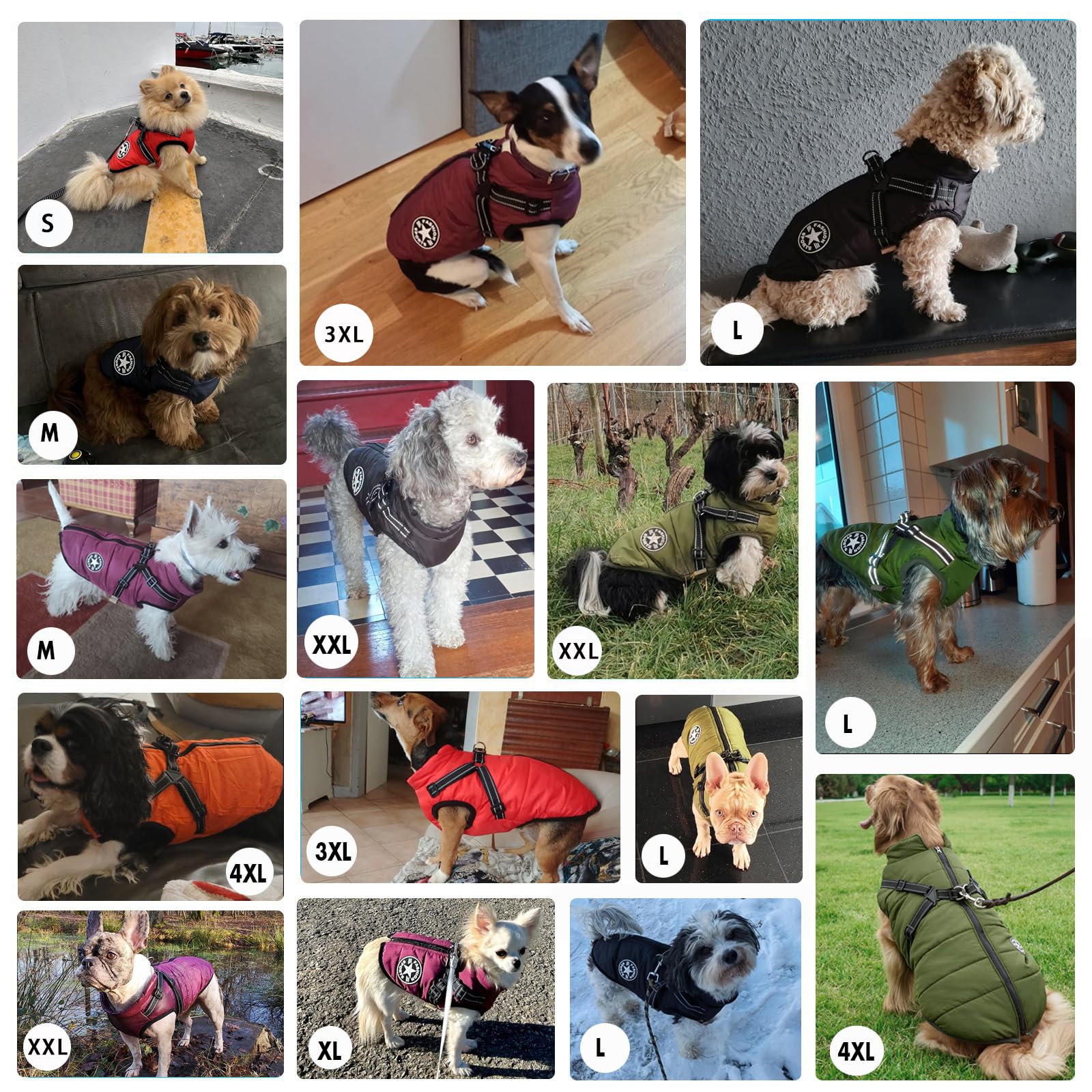 Aiboria dog coat adjustable shoulder straps provide secure fit.