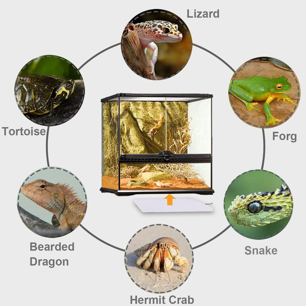 Aiicioo Reptile Heating Pad bottom-mount elevates terrarium for even heat distribution.