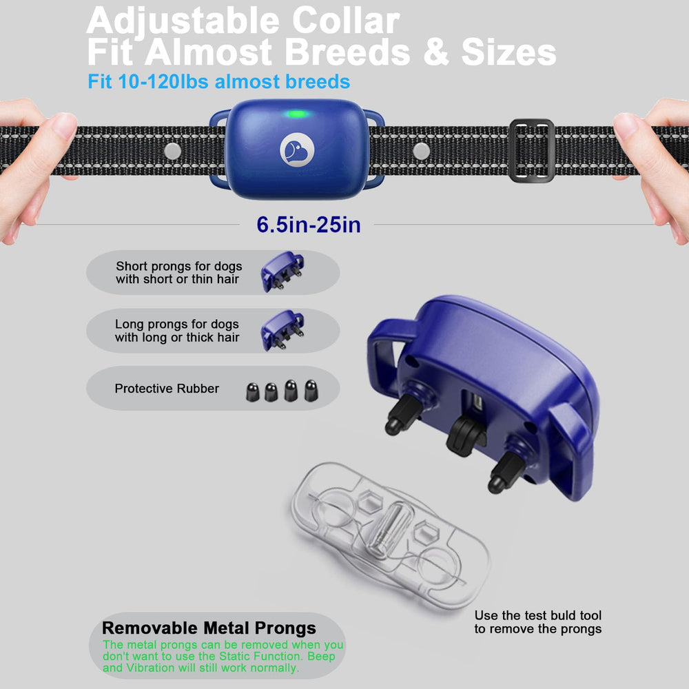 Aikko IPX7 collar designed for outdoor training and variable conditions