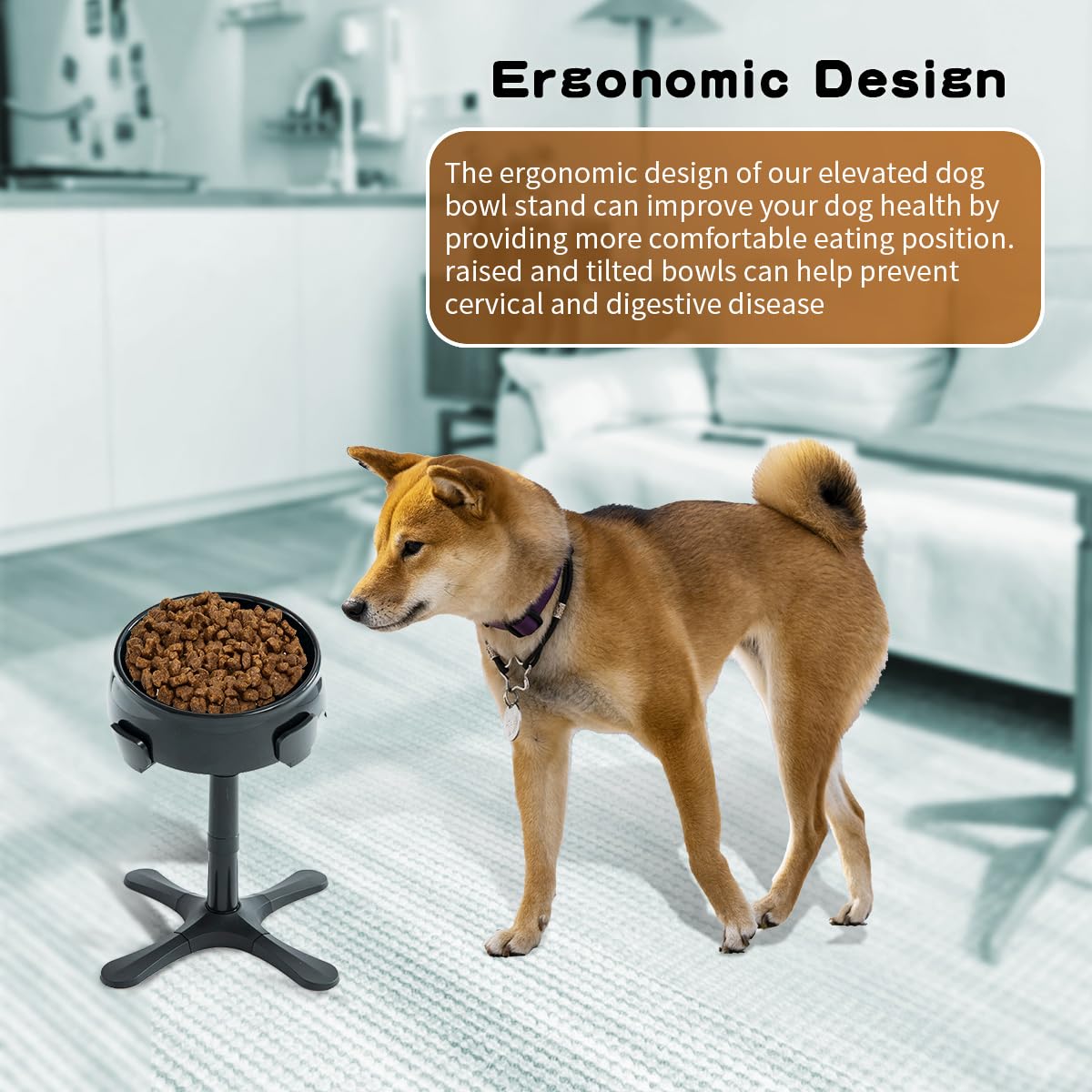 Aileway elevated dog bowl stand tilted at 15 degrees for natural eating posture.
