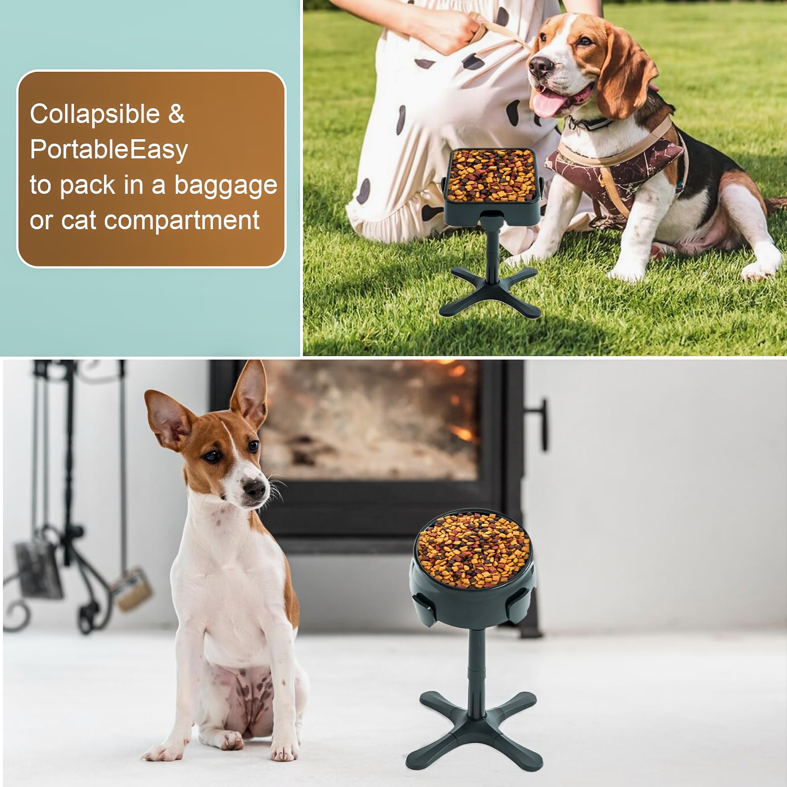 Aileway two-pack black elevated dog bowl stand for value and consistency.