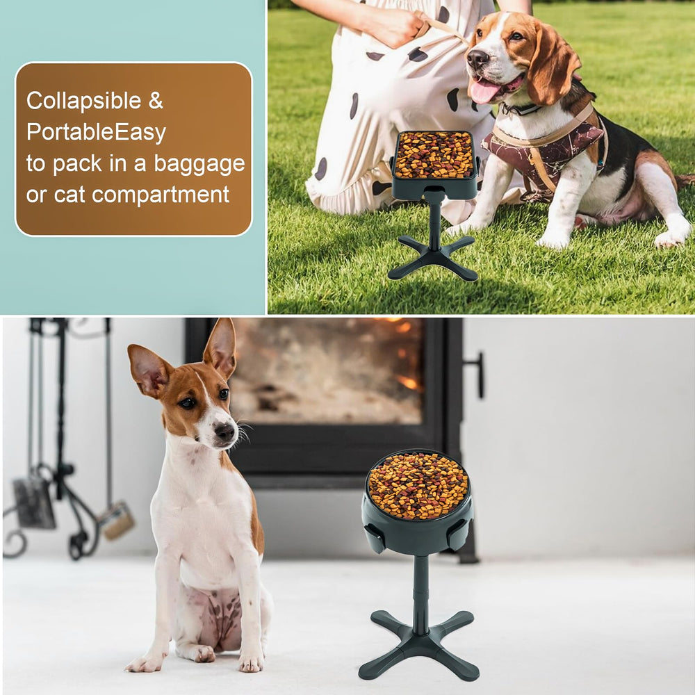 Aileway two-pack black elevated dog bowl stand for value and consistency.