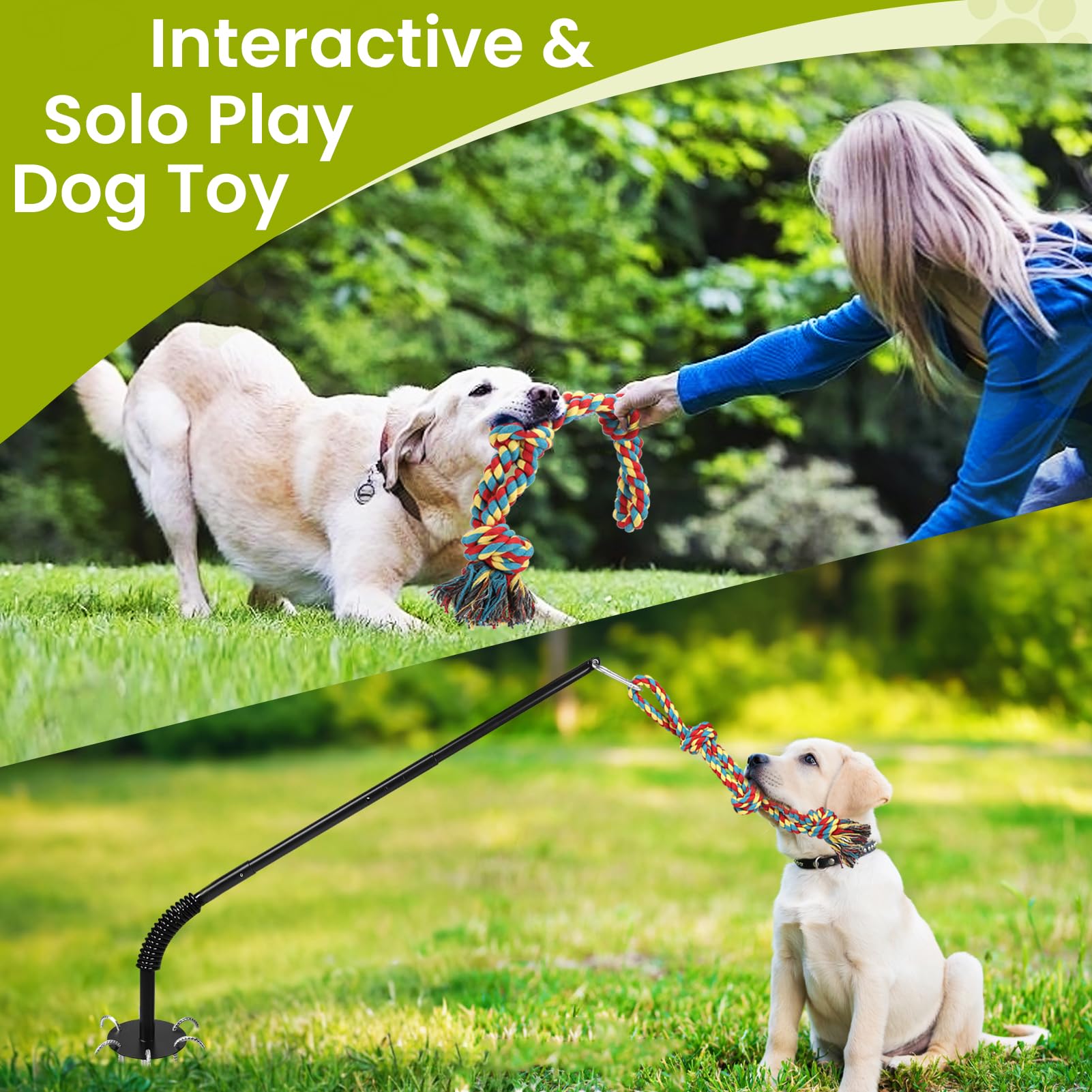 Adjustable-height pole supports dogs of all sizes during tug and fetch fun.