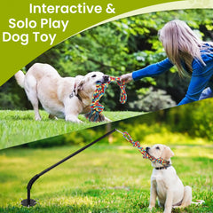 Adjustable-height pole supports dogs of all sizes during tug and fetch fun.