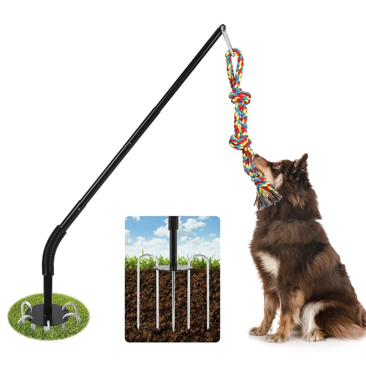 AILOOCEDI tether tug base and anchors ensure a stable outdoor play setup for dogs.