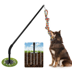 AILOOCEDI tether tug base and anchors ensure a stable outdoor play setup for dogs.