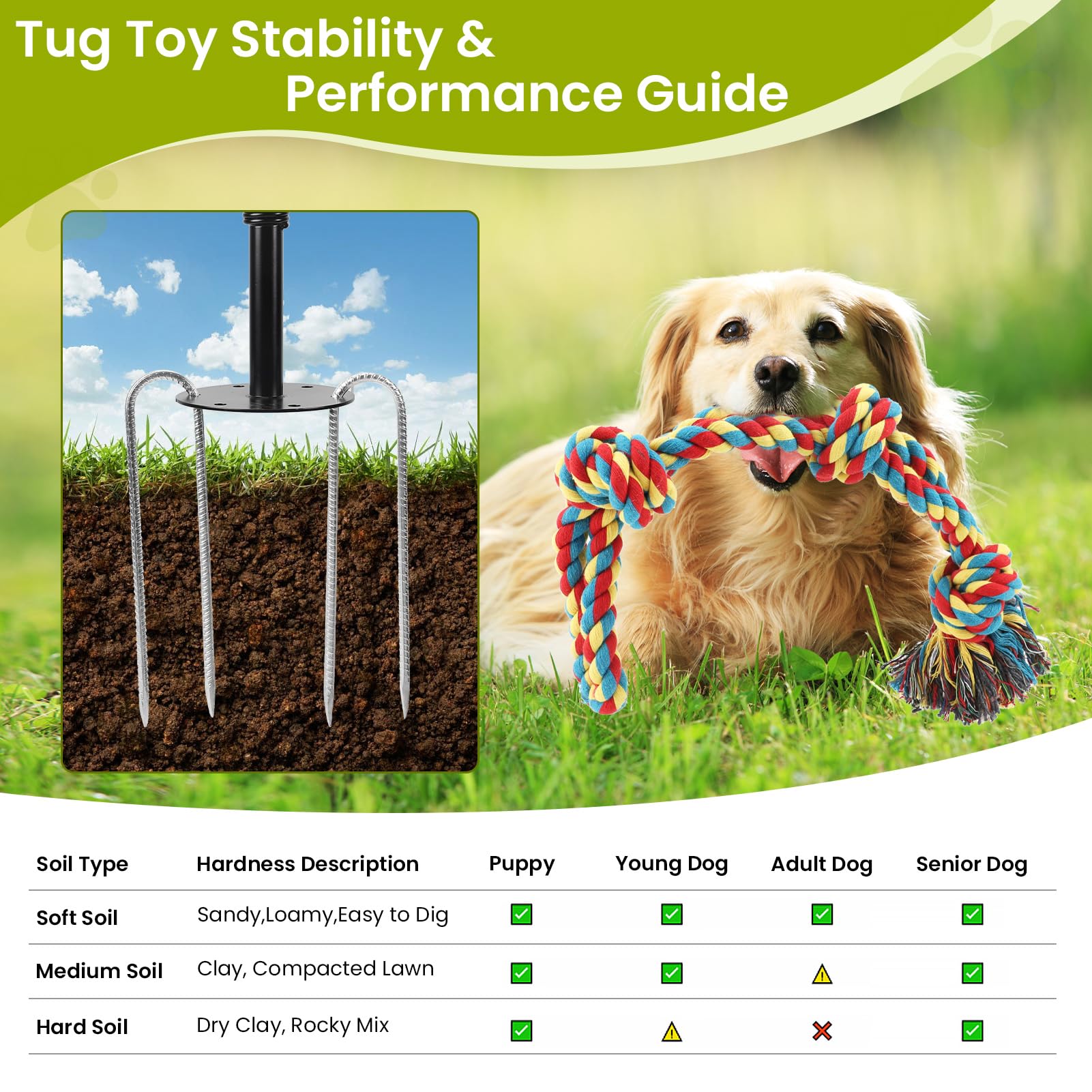 Backyard-park-friendly design supports bonding and interactive dog-owner games.